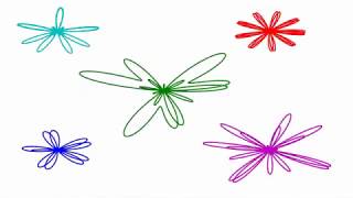 極座標の花