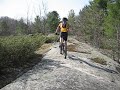 Torrence Barrens 2008