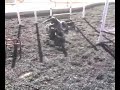 DT Brawl