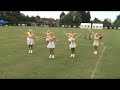 Ipswich gold and white militaires senior baton