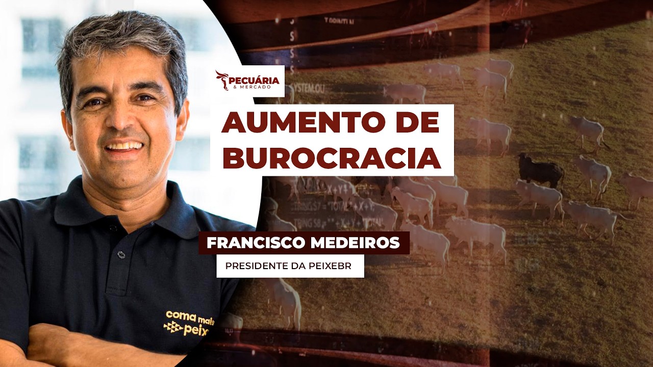 Novas regras para documentação usada no transporte de peixes no Brasil só aumentam burocracia para..