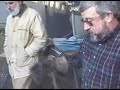 Bronze Casting