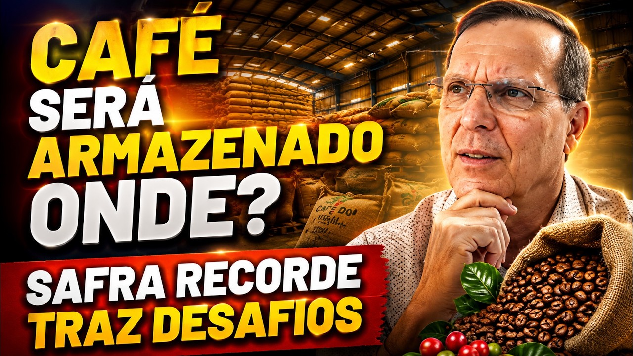 Café será armazenado onde? Safra recorde traz desafios.
