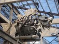 Les Machines De L'ile- A Compilation