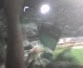 campeon verde vs opitas