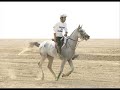 حينما تتحدث عن محافظة بقعاء فانك بلا شك سوف تتحدث عن تاريخ عريق، فهي بلدة قديمة لها تاريخ كبير واشتهرت بالكرم  ونمت وتطورت لأنها منطقة زراعية ذات أرض خصبة ومياه عذبة   هذه المحافظة كانت قرية ثم أطلق عليها مسمى مدينة حتى جاء التقسيم الاداري عام 1412ه وحظيت بشرف مسمى (محافظة فئة أ  لما شهدته من تطور وهي المحافظة الوحيدة بمنطقة حائل فئة   أ  تقع محافظة بقعاء شرق مدينة حائل بمسافة 95كلم ويربطها بحائل طريق معبد يجري الآن تحويله الى طريق ذي مسارين  ولكن وجود المزارع على يمين الطريق ويساره تزيد من شوق المسافر الى بقعاء   وتقع بقعاء في أرض منخفضة ومتنوعة ما بين صخور ووديان وهضاب بالاضافة الى قربها من النفود الكبرى  وتعتبر من أقدم المواقع في منطقة حائل ويتبعها أكثر من 60ما بين مدينة وقرية وهجرة وجميعها تستمد خدماتها من بقعاء حيث تمثل بقعاء مركزاً تجارياً وإدارياً للعديد من القرى والهجر   تسمية بقعاء  ترجع تسمية بقعاء إلى عدة أقوال حيث قيل انها  نقعاء  بالنون وليس بالباء وهو ما يمثل مجمع السيول بسبب وجودها في أرض منخفضة تمثل منقعاً للسيول حيث تتجمع فيها المياه  وقيل سميت بقعاء بهذا الاسم نظراً لكثرة وجود بقع الخيام البيضاء وسط بيوت الشعر السوداء قديماً أثناء شن المعارك  وكان يطلق عليها قديماً اسم  اللواء  حيث ذكرها امرؤ القيس في شعره  قفا نبك من ذكرى حبيب ومنزل بسقط اللواء بين الدخول فحومل ويسميها البعض  الصفاة   نسبة الى أرضها الصخرية  وتنقسم بقعاء الى قسمين هما  بقعاء اللويمي غرباً وبقعاء الشرقية شرقاً ويفصلها قاع تكون منقعاً للسيول حيث تصل السيول أثناء هطول الأمطار من حائل عبر وادي اديرع وتصب في بقعاء طبيعة الأرض  تمتاز بقعاء بخصوبة أراضيها وتوفر المياه فيها  وتمثل السهول جزءاً كبيراً من أراضيها حيث تكثر فيها المشاريع الزراعية بعد أن قامت وزارة الزراعة بتوزيع قطع أراض زراعية وتم مساعدة المواطنين بصرف إعانات مالية من البنك الزراعي لشراء المعدات الزراعية التي تساعد على الزراعة لأنها من المواقع التي حباها الله بنعمة جليلة وهي توفر المياه في كل موقع وبكميات كبيرة  وتصل المياه السطحية الى عمق 50مترا فقط  والمياه الجوفية الى عمق 600متر وأكثر  وتقع بقعاء على تكوين الساق الذي يعتبر من أهم الموارد المائية سواء للزراعة او للشرب  ووفرة المياه ساهمت في ازدياد الرقعة الزراعية في بقعاء كما وأن وفرة المياه ساهمت مساهمة فعالة في اتساع الرقعة السكانية في بقعاء بسبب نزوح الناس إليها   بقعاء قديماً  كان السكان في بقعاء يعيشون قديماً في بؤس كغيرهم من المواقع الى أن عمت التنمية بعد توحيد المملكة على يد المغفور له بإذن الله الملك عبدالعزيز وتحول البؤس الى رخاء  وكان المصدر الرئيسي لرزقهم هي النخيل، بالاضافة الى الصيد  ولاقى أهالي بقعاء صعوبة بالغة في سبل العيش  واشتهروا بالكرم وحسن الضيافة حيث يعمد أهالي بقعاء الى اكرام الضيف بأي طريقة كانت  وكانوا يحرمون أنفسهم واولادهم الطعام على أمل تقديمه للضيف وحينما يصل الضيف يكرمونه ولايسألونه حتى يتم اكرامه  حيث يفتخر بذلك بريك  راعي بقعاء قائلاً  نقول لهم قبل التناشيد سمّو قراها نماها والضوى من صريفه المعالم الأثرية يتبع بقعاء عدد من المعالم الأثرية القديمة بعضها بارز للعيان والبعض الآخر لا زال مجالاً خصباً للباحثين والمهتمين في هذا المجال  ومن هذه الآثار    جانين  حيث تقع جنوب بقعاء وبها نقوش وكتابات ثمودية رسمت على واجهات جبل جانين    زرود  وهو موقع شمال بقعاء  وقد ذكره احد شعراء بني هلال وقال  رحنا ولا خلينا بنجد حسوفة يا كود قليب بين اللواء وزرود الهاشمة  وهو موقع خسف شرق بقعاء   درب زبيدة  وهو الطريق الرئيسي المعروف يمر بعدد من برك الماء التي أقيمت في العصر العباسي    جلدية والبويب  مواقع جنوب بها نقوش وكتابات  وقد قام عالم ألماني في شهر محرم 1424ه بزيارة لمحافظة بقعاء وذلك ضمن جولته في الجزيرة العربية لتأليف كتاب مصور عن المواقع القديمة التي كتب عنها عالم ألماني آخر قبل خمسين سنةتطور عمراني  تطورت بقعاء شيئاً فشيئاً في عصر النماء والتقدم  واتسعت رقعتها العمرانية وسبقت ما كان مخططا لها  وتم فيها افتتاح عدد من الإدارات الحكومية والمدارس التي تقدم خدماتها للمواطنين  وفي عام 1404ه حظيت بقعاء بتوجيه كريم من صاحب السمو الملكي الأمير مقرن بن عبداالعزيز أمير منطقة حائل  سابقاً  بتسميتها مدينة بقعاء لتواصل بذلك مشوار النماء والتطور  وتزداد بقعاء مساحة وسكاناً حتى صدر الامر السامي الكريم عام 1412ه وحظيت بقعاء بشرف تسميتها  محافظة فئة  أ  وهي المحافظة الوحيدة في منطقة حائل فئة  أ  نظراً لكثافتها السكانية وللخدمات المتنوعة فيهااخوكم عبدالعزيز الدخيلولمزيد من التفاصيل زيارة الموقعhttp://www.alriyadh.com/2007/06/29/article260782_s.html