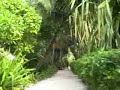 A Quick Tour of Kuramathi