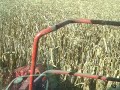 Lefebure.com - Fall 2007 - Picking more corn Lefebure.com - Fall 2007 - Picking more corn