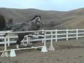 videos de Winnie - free jumping