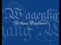 brillant encore by spanish composer padre antonio soler- played by wolfgang wagenh�user