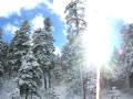 videos de flagstaff winter.mov