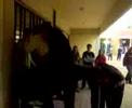 makria gaidoura_shit happens@5o lyk N Smyrni