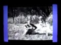 Episode 7 - Lost Episode Episode 7 - Lost Episode