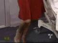 Aylin Mujica - MARINA