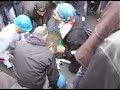 Alcoa, scontri a Roma: gli operai caricano la polizia!