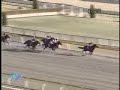 2008 ???????  FEBRUARY STAKES