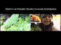 Impressions of a Cooperative Grocer