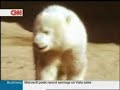 here comes knut   frank zander   official german knut song
