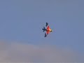 Miss Demeanour - Extended Version