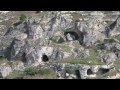 SASSI DI MATERA