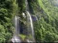 Los Alisos