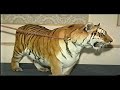 Tiger Attacks At Fundraiser Dinner! Tiger Attacks At Fundraiser Dinner!