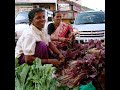 Business in Goa - Me and my shop