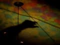 Creepy Shadow Puppet Singing Morning Dew