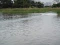 ???--??????-- Tornado EVO4 FSRV 15cc ???--??????-- Tornado EVO4 FSRV 15cc