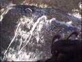 parapente a chamonix mont blanc