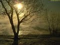Omnia_Bran