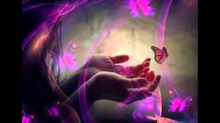 Disco N´ Bossa *°˚✿ •˚ What a Difference a Day Made