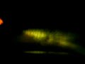 Night Tour of Carretera 9966 Night Tour of Carretera 9966