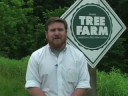 Steve Roberge UNHCE Forester Cheshire County
