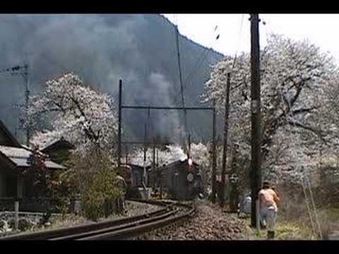 大井川鉄道　駿河徳山駅の桜②C10到着～発車