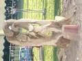 tatton sculpture show
