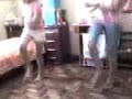 jita,Jumpstylee,