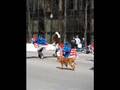LRA St. Patrick's Day Parade