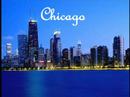 SunCoast Cities