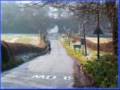 W.D. Sings, The Green Green Grass Of Home