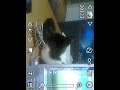 The MWg ZincII Quick Menu and Interface
