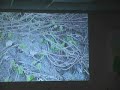 Milfoil Presentaion Part-2