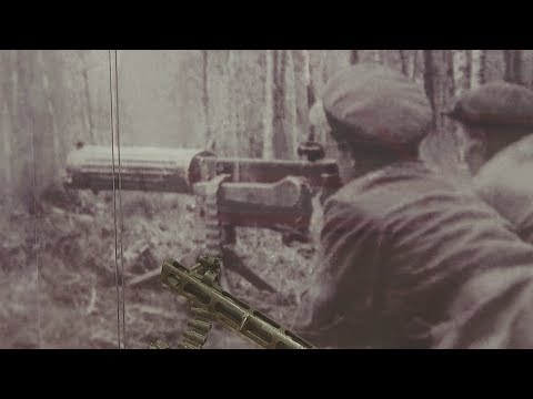 У Гомелі маюць намер падрыхтаваць трэці зборнік дакументаў аб партызанскім руху видео