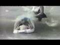 Funny Boat Accidents (better quality)
