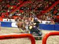 Stockholm International Horse Show