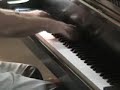 Liszt:  Sposalizio