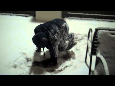 Need A Laugh?? SnowF-AIL!!!!!