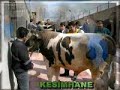 Zöhre Ana Ali Vakfı Hizmet Binası