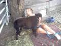 videos de Baby Yak Solo Gives Facials