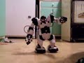 Robosapien\ Robosapien\